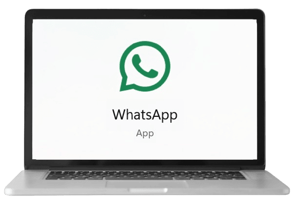 alex-shelton-personal-whatsapp